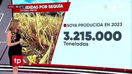 Cadex: Caída en producción de soya, un llamado de atención a las autoridades y un freno a la exportación
