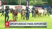 Agropecruz: Senasag confirma exportación de ganado vivo a Perú y acercamientos con otros países de la región