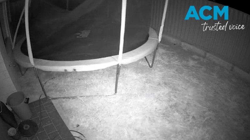 Homeowners have captured the moment a trampoline was blown over their fence.