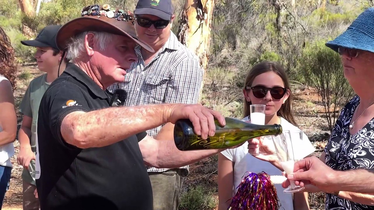 Conservationists celebrate win against plans to clear habitat of Black Cockatoo