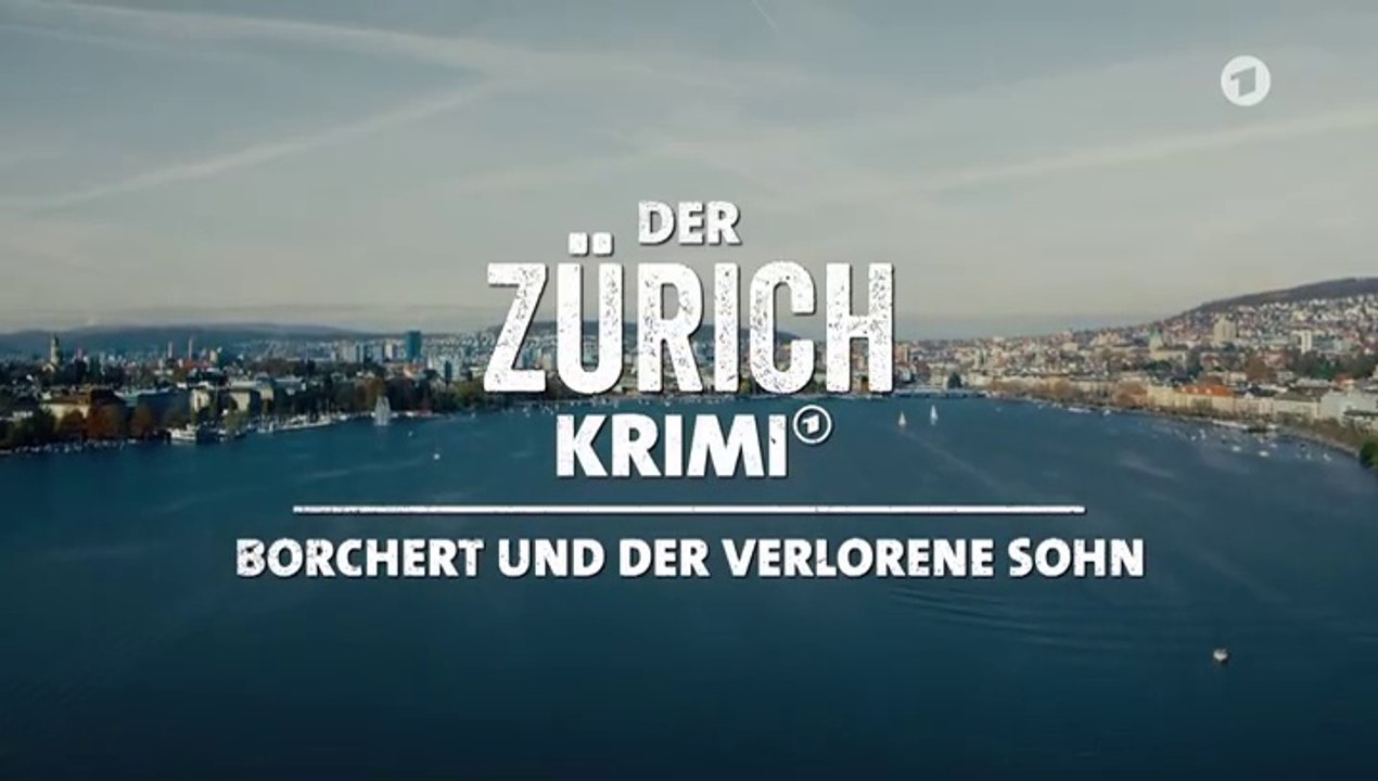 Der Zürich Krimi -13- Borchert und der verlorene Sohn