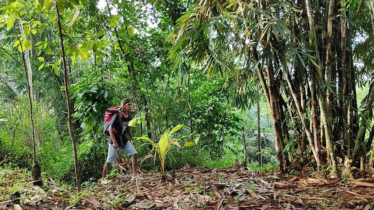 Solo camping makes a bamboo shelter for sleeping - buscraft - asmr