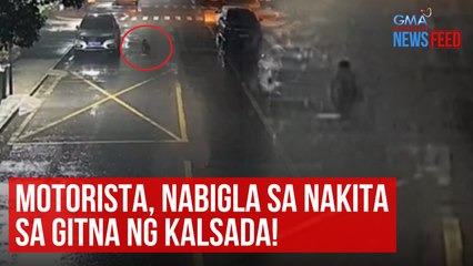 Download Video: Motorista, nabigla sa nakita sa gitna ng kalsada! | GMA Integrated Newsfeed