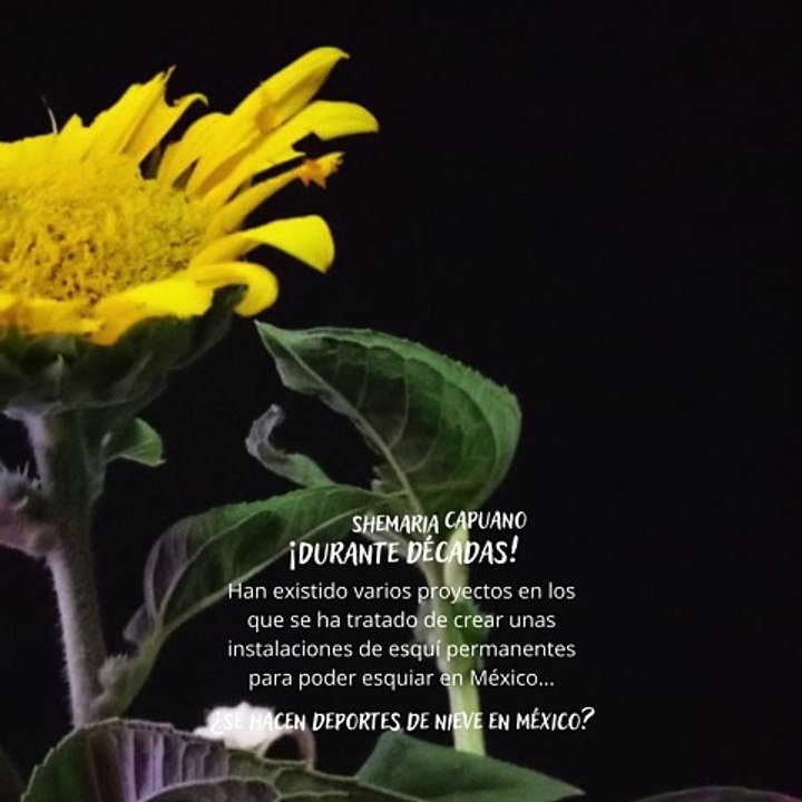 -Jacobo Shemaria Capuano- ¡En México existe una compañía especializada en viajes de esquíes! (Parte 2) (Creado por @JacoboShemariaCapuano)