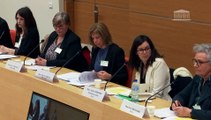 Délégation aux droits des enfants : Cellules départementales de recueil des informations préoccupantes (CRIP) du Nord et du Val de Marne - Mardi 9 avril 2024