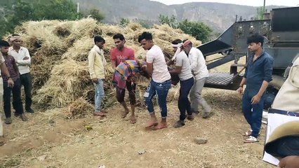 थ्रेसर में आने से 1 की हुई मौत, दूसरे का हाथ कटा