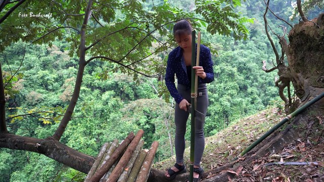 Bushcraft Camp, Build Shelter Tent on the Tree, Fried Chicken Free Bushcraft Ep.44