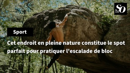 Cet endroit en pleine nature constitue le spot parfait pour pratiquer l'escalade de bloc