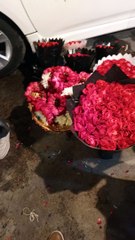 Flowers #viral #trending #foryou #reels #beautiful #love #funny #delicious #fun #love #yummy