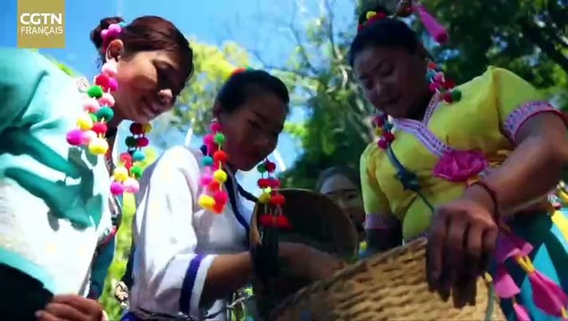 Secrétaire du Comité du PCC pour la province du Yunnan : Venez découvrir le mode de vie du Yunnan