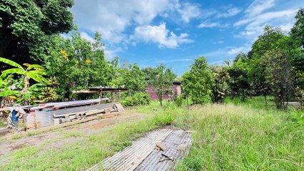 A VENDRE - SECTEUR TONTOUTA - TERRAIN CONSTRUCTIBLE - PROCHE RIVIERE - VIABILISÉ EN EAU