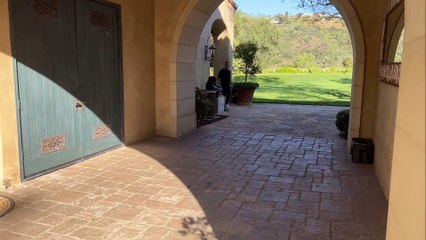 Arnold Schwarzenegger: From Bodybuilding Legend to Hollywood Icon 💪