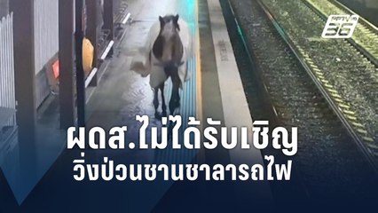 ม้าหลุด! วิ่งป่วนชานชาลารถไฟออสเตรเลีย | ข่าวต่างประเทศ | PPTV Online