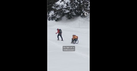 Wheeled World : l'aventure et le voyage en fauteuil roulant, c'est possible !