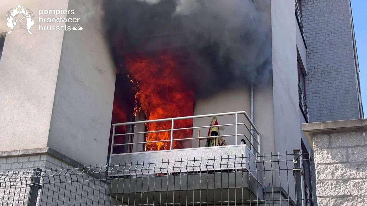 Les pompiers sortent un chien de l'incendie d'u...