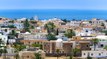 Túnez está aprovechando la fuerte subida del precio del aceite de oliva