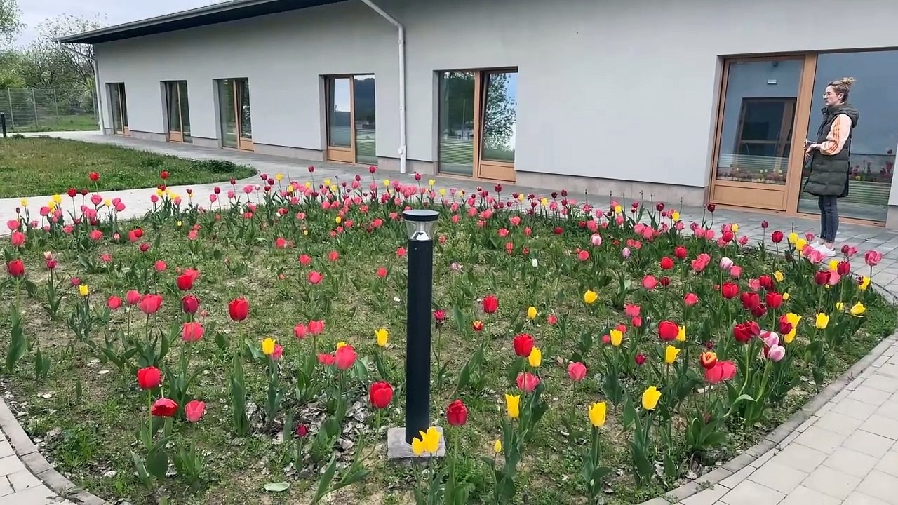Tarnów- akcja charytatywna na rzecz hospicjum v...