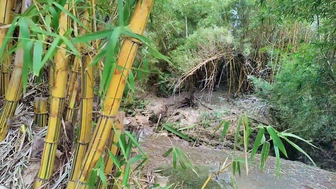 (125) Wohnen in CURRIDABAT | Spaziergang durch eine Stadt in der Provinz San Jose, Costa Rica