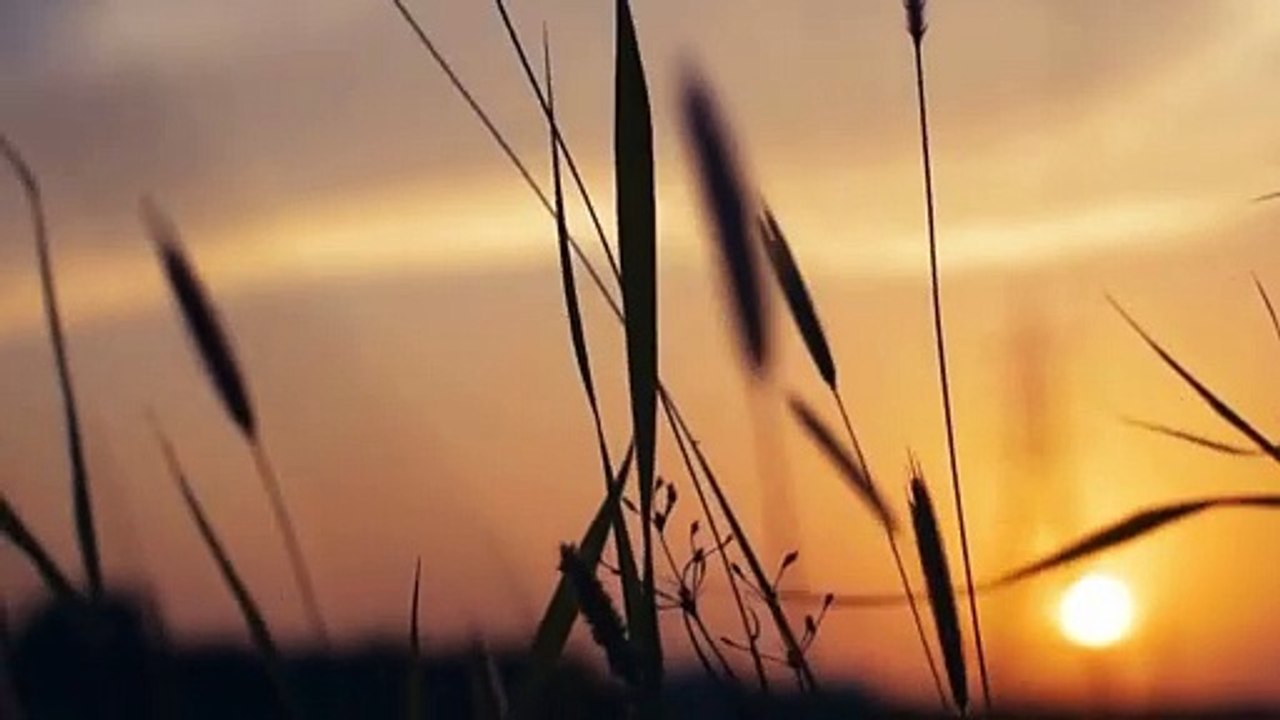 integration of Tally in Real Estate Management