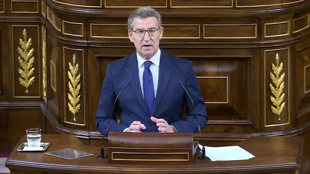 Feijóo acusa a Sánchez de emplear la política exterior como cortafuegos de sus problemas internos .