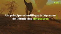 Quand une étude sur les dinosaures remet en question un principe scientifique vieux de 150 ans