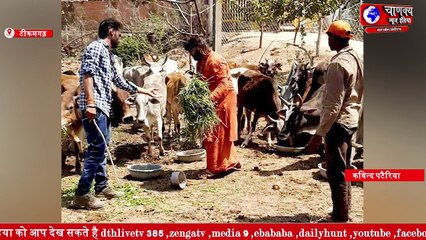 बालाजी लहरैंन सरकार धाम आश्रम में निराश्रित गौवंश का गोठान में प्रवेश,  गौवंश संरक्षण हेतु सरकार से गौचर भूमि आवंटन की मांग