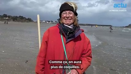 Ils pêchent des coquilles Saint-Jacques pendant les grandes marées