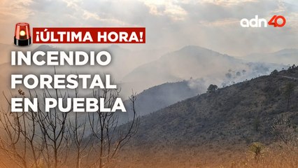 ¡Última Hora! Se suman labores para sofocar incendio en el municipio de Libres, Puebla
