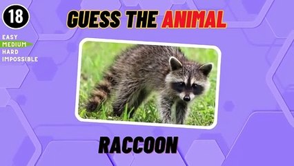 Guess 50 Animals In 3 Seconds (Video 2)