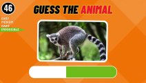 Guess 50 Animals In 3 Seconds (Video 4)