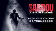 Michel Sardou - Quelque chose de Tennessee (Live au Zénith d'Amiens / 2023)