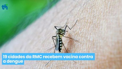 19 cidades da RMC recebem vacina contra a dengue