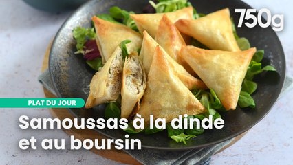 2 Recettes de samoussas très croustillants | 750g