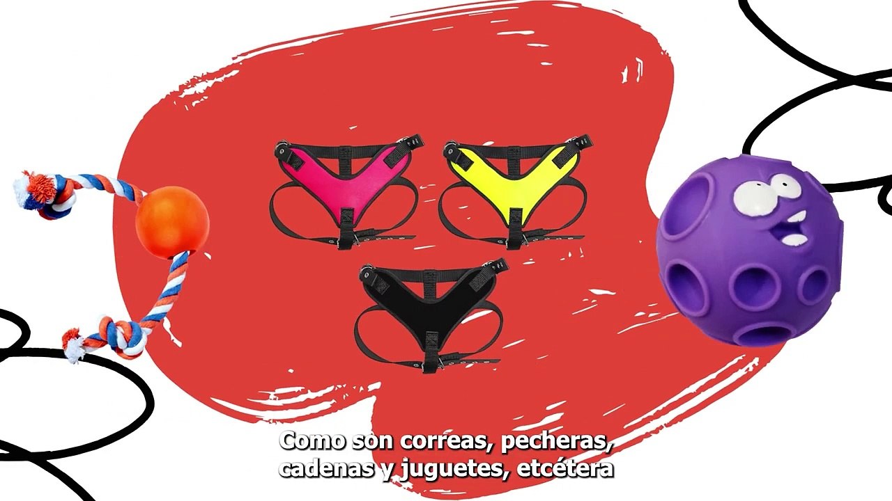 Accesorios para mascotas; para el cuidado y la comodidad de tu mascota