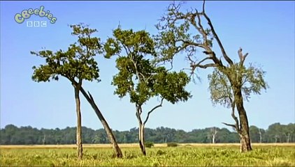 Little Big Cat: Making Friends