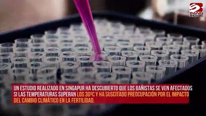 Las olas de calor merman la calidad de los espermatozoides