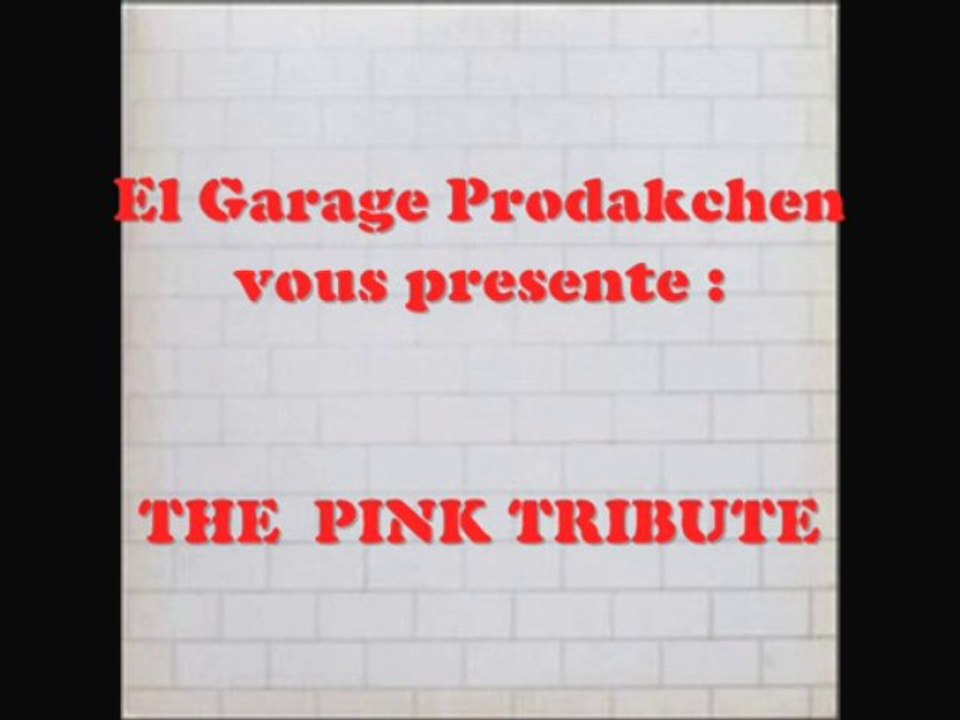 Pink Tribute