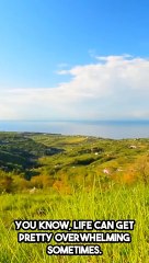 Matthew 6:33 Bible Famous Quote and Bible Verse (1)