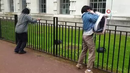 İngiltere'de Gazze protestosu! Savunma Bakanlığı binasını kırmızıya boyadılar