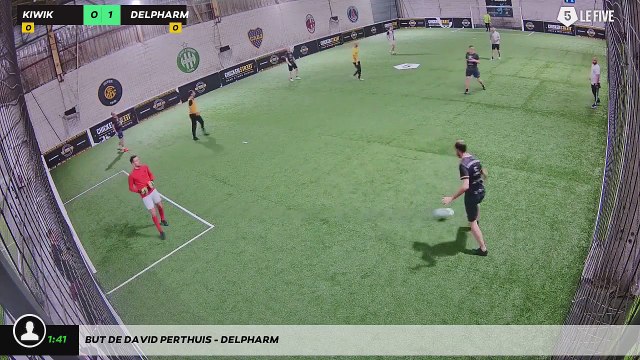 But de DAVID PERTHUIS - DELPHARM