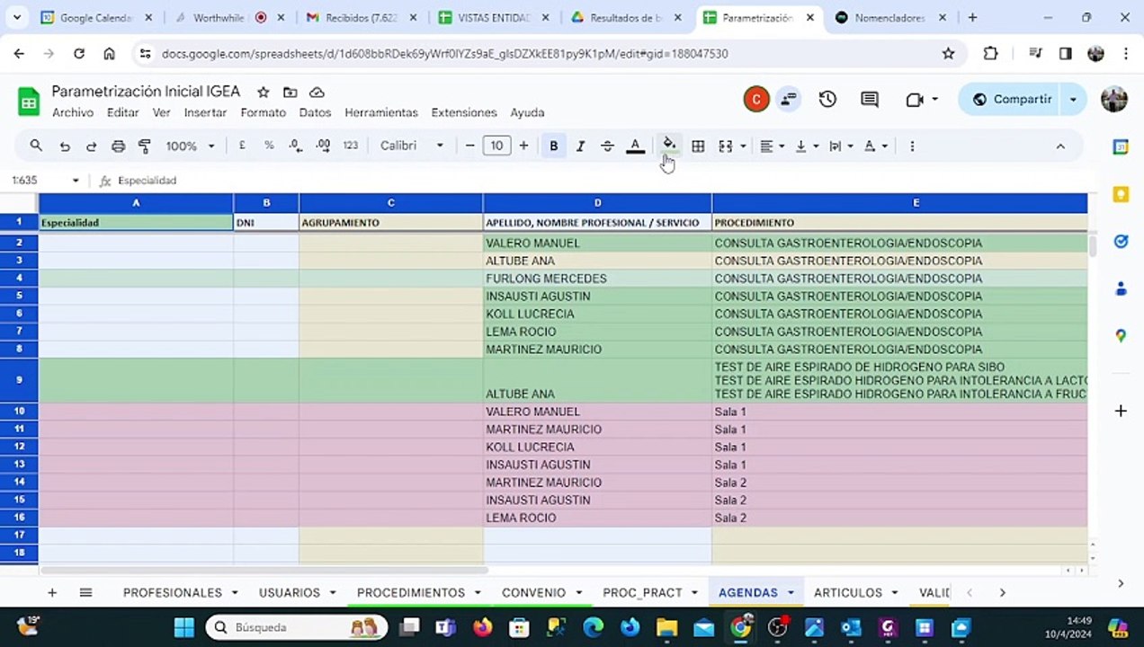 Parametrizacion IGEA 2