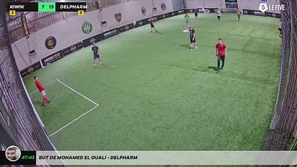 But de Mohamed EL OUALI - DELPHARM