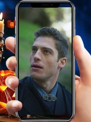 Reborn to Revenge: The Betrayed Luna