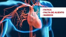 ¿Cuáles son los síntomas de la cardiomiopatía hipertrófica? -  #ExclusivoMSP