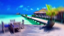 Dreaming of Maldives summarized all the dreamy resorts in this reel