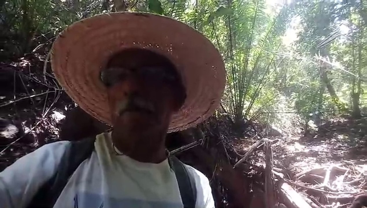 A natureza se adapta para continuar oferendo vida