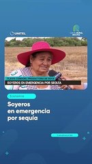 Soyeros en emergencia por sequía