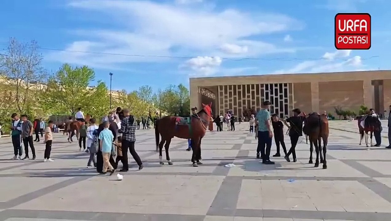 Şanlıurfa'da at binme keyfi bayram sevincini taçlandırdı