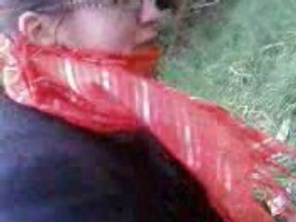 Kandoo