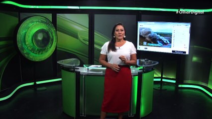 Crânio de monstro marinho gigante entra para o Livro dos Recordes